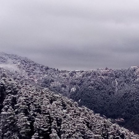 Hotel Shimla Regency Esterno foto