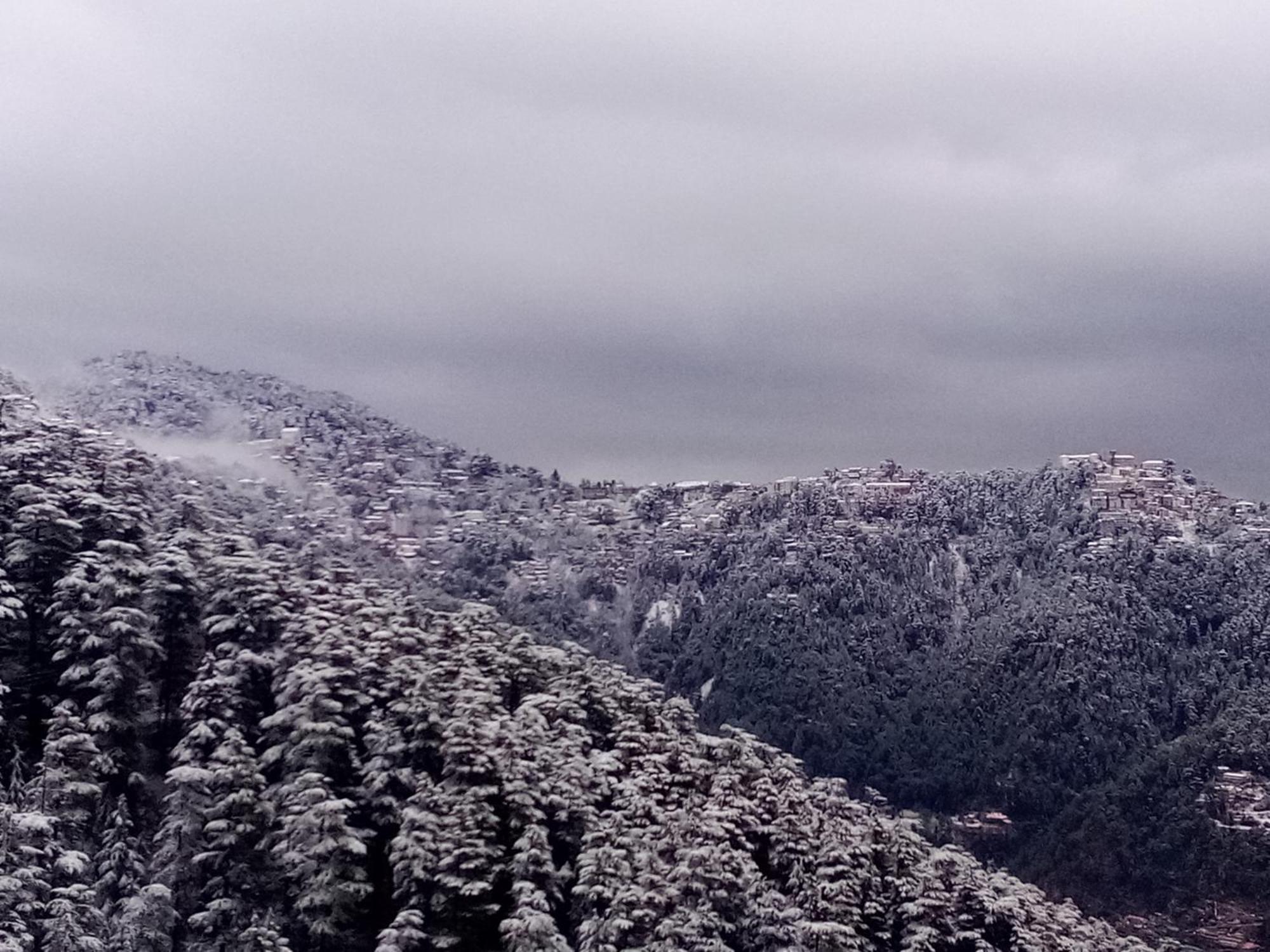 Hotel Shimla Regency Esterno foto